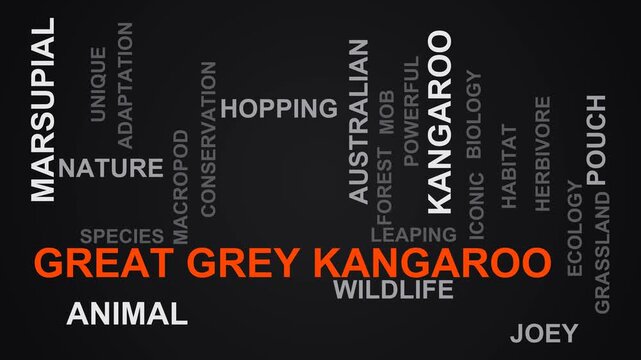 Great Grey Kangaroo Word Cloud