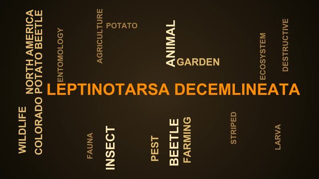 Leptinotarsa Decemlineata Word Cloud