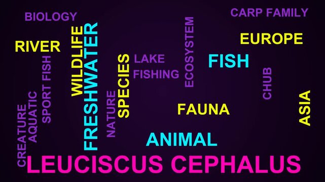 Leuciscus Cephalus Word Cloud