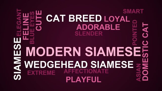 Modern Siamese Word Cloud