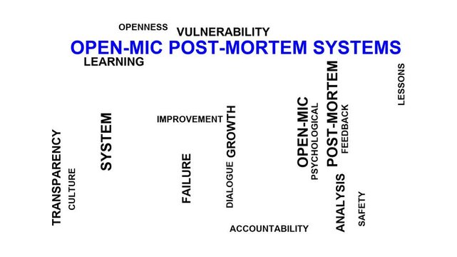 Open-Mic Post-Mortem Systems Word Cloud