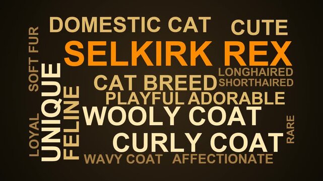 Selkirk Rex Word Cloud