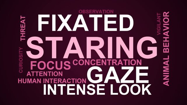 Staring Word Cloud
