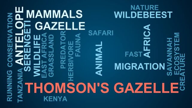 Thomson'S Gazelle Word Cloud