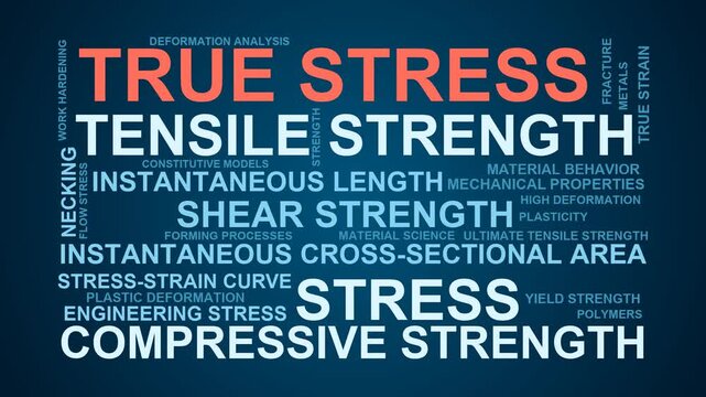 True Stress Word Cloud