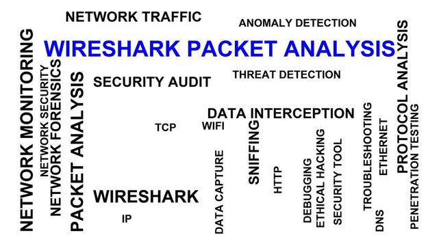Wireshark Packet Analysis Word Cloud