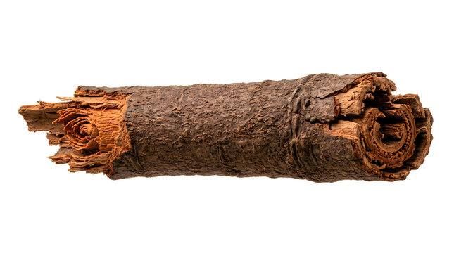 Decayed wooden log with broken ends and splintered texture on transparent background