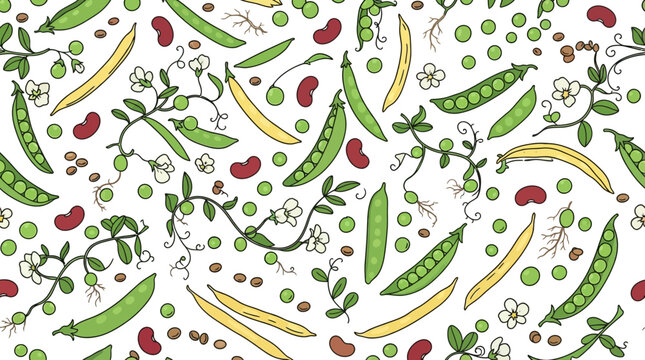 Seamless pattern of hand-drawn green peas, red kidney beans, and yellow legumes on white background.