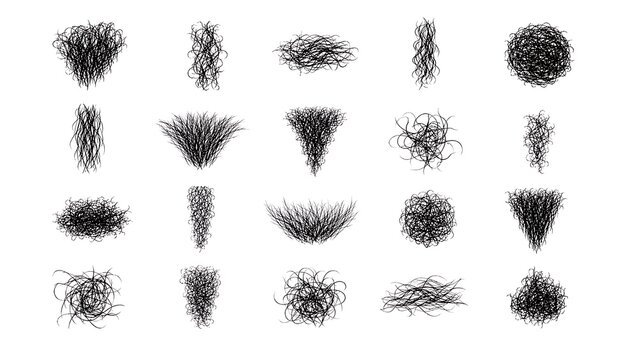 This image features a collection of various grass textures and illustrations arranged on a clean white background. The detailed black and white drawings showcase different types of grass.