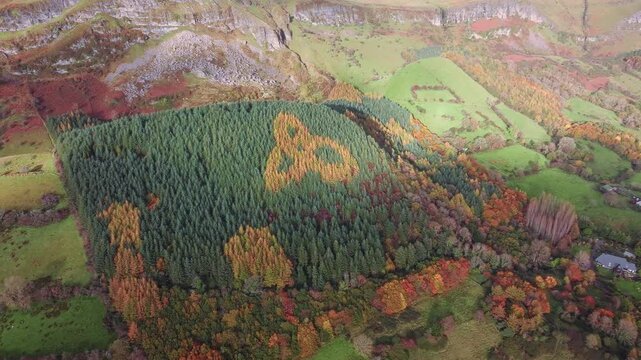Aerial view of a large Celtic knot pattern formed by autumn-colored trees within a dense forest surrounded by green fields and hills in Sligo, Co. Sligo, Ireland.