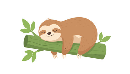 Fototapeta premium Cute fluffy sloth hanging comfortably and sleeping on a textured green tree branch with leaves on a white background.