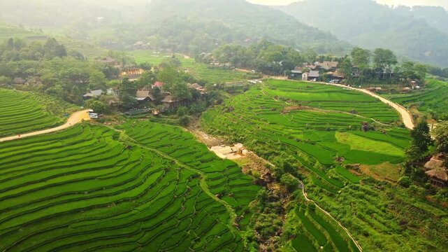 Aerial view of Pu Luong rice terraces with mountains and roads in Vietnam