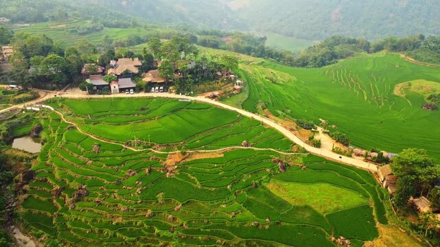 Aerial drone shot of vibrant green rice terraces and traditional houses in Pu Luong