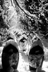 Naklejka premium Snow-covered winter scene with two gravestones beneath frosty branches.