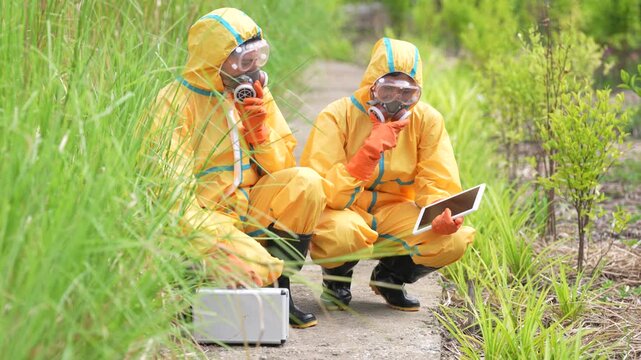 Hazmat suit respirator protective gear for environmental inspection in field contamination safety, tablet data sampling team crouching on dirt path, technicians assess spill risk near tall grass