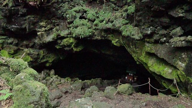 Entrance to Saiko Ryugu Cave Surrounded by Mossy Rocks in Yamanashi, Japan