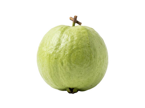 Fresh green guava fruit rests on a black background in a studio shot. Guava fruit showing organic texture and stem for tropical food marketing and healthy juice product design.