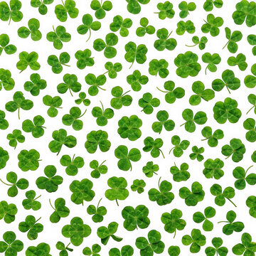 Seamless pattern with various green three and four leaf clovers isolated on transparent background