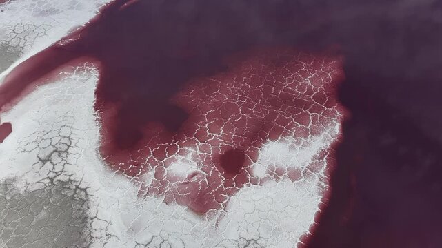Aerial view of the Great Salt Lake showing vibrant pink water contrasting with white salt crust patterns in Salt Lake City, Utah, United States.