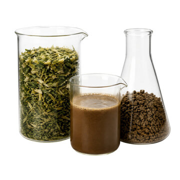Dried green cannabis plant leaves in beaker, liquid brown extract, brown granules in flask, isolated on transparent background png element