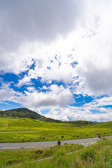 Obraz premium Expansive Aso grassland beneath towering summer clouds