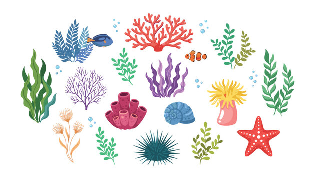 Under the sea coral reef vector set with colorful seaweed starfish sea anemone urchin fish and ocean plant illustration