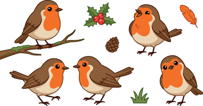 Cute European Robin Bird Character Vector Set with Redbreast Birds in Various Poses, Tree Branch, Holly Berries, Pinecone, and Feather Winter Christmas Illustrations