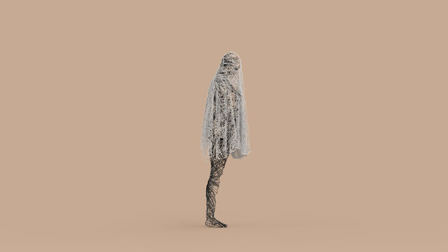 Abstract 3D Female Ghost Wire Tangled Figure for Halloween Concept  - Abstract illustration of a mysterious female ghost formed from tangled black and white wires, perfect for Halloween concept
