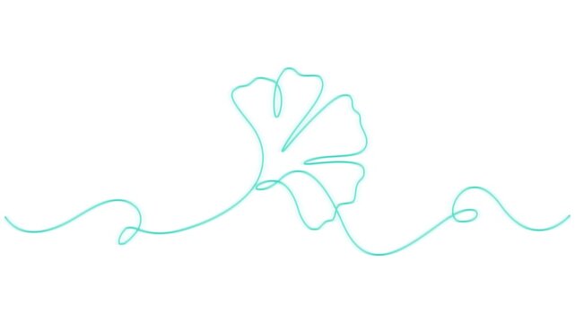 self drawing ginkgo autumn fall animation continuous one line drawing, Ginko leaf animation elegance continuous line drawing motion graphics, minimalistic and elegant layout,  Full length animation on