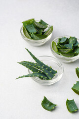 Obraz premium Aloe vera plant parts in small glass bowls on a light grey background