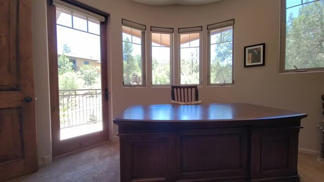 Sunlit office interior with parrot statue by window