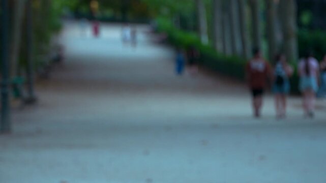 Out of focus shot of people strolling along a tree lined path in Madrid Spain. Ideal for projects needing authentic urban life and wellness themes.
