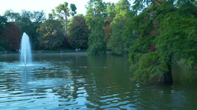 A serene scene featuring a water fountain spraying into a lake surrounded by lush green trees in Madrids Retiro Park. Perfect for travel and wellness content.