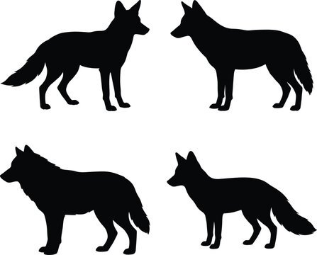 Wolf fox silhouette vector. Wild canine vector icon set