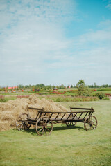 Old wooden cart on green grass with a pile of hay and blue sky © reddish