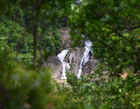 small waterfall in the forest