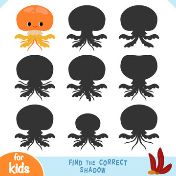 Find the correct shadow game with cute jelly fish character. Flat cartoon vector illustration with matching silhouettes. Educational activity worksheet about ocean animals for kids