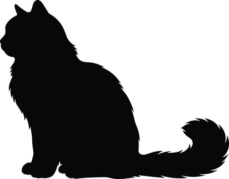 Black Silhouette of Sitting Ragdoll Cat with Fluffy Tail for Pet Design and Animal Illustration