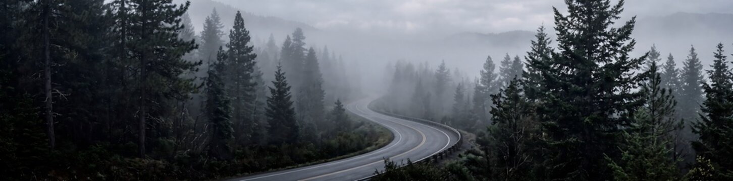 Winding mountain road stretches through a dark dense evergreen forest under thick heavy morning fog clouds