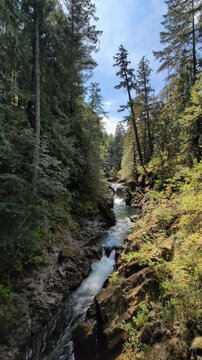 A mountain river flows through a forested gorge, forming a waterfall; summer tourism in British Columbia, Canada.