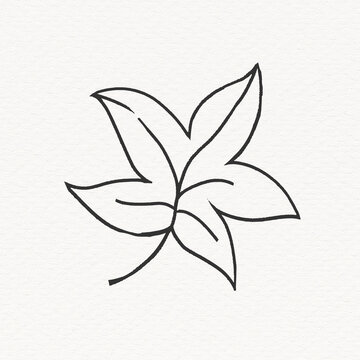 Maple leaf clipart, simple line art design