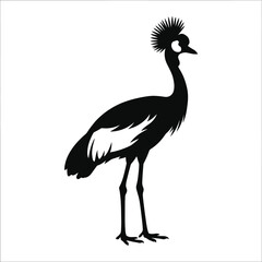 Fototapeta premium Emu silhouette standing tall in black and white.