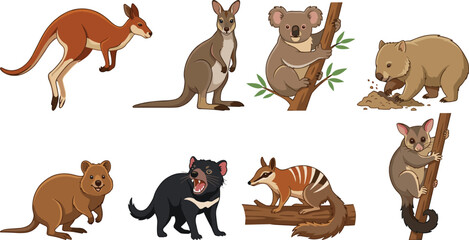 Naklejka premium Cute Australian Animal Cartoon Collection Featuring Kangaroo Koala Wombat Tasmanian Devil and Quokka