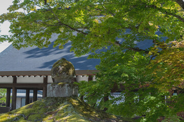 A moss-covered stone ornament stands before a tiled roof corridor beneath maple branches at Minashi Shrine in Takayama, Gifu, Japan. © PH_BRICK