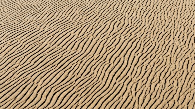 Wind-carved sand ripples forming parallel wavy ridges on desert beach