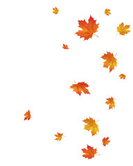 Falling autumn maple leaves in warm orange, red and yellow hues form a decorative seasonal illustration on a transparent PNG background. © MAKSYM