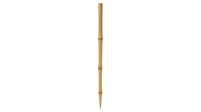 Single Bamboo Pole Isolated on Transparent Background