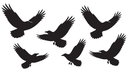 Fototapeta premium Five black birds flying in formation silhouette