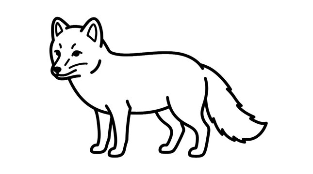 Arctic fox line art vector illustration standing in profile