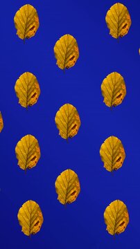 Animation of rows of autumn yellow leaves on blue background